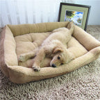 Teddy Golden Retriever Dog Bed and Pet House